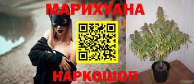 каннабис Гусиноозёрск
