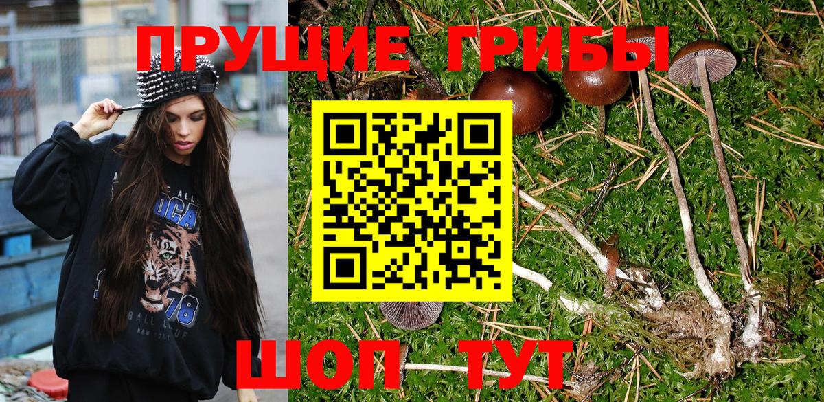 Можайск  Псилоцибиновые грибы Psilocybine cubensis  купить наркоту  Вход с VPN 